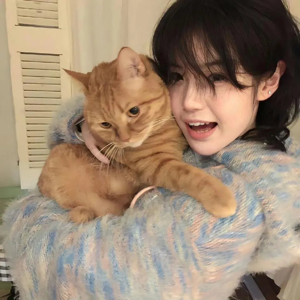 爱的守护2016国语